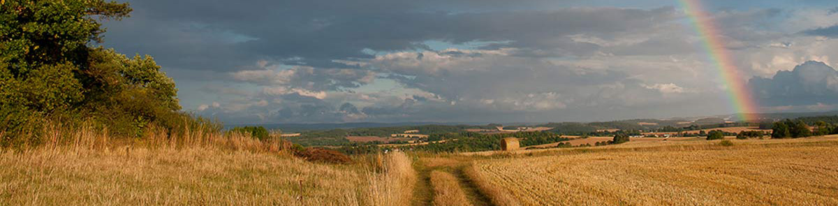 Feld mit Himmel